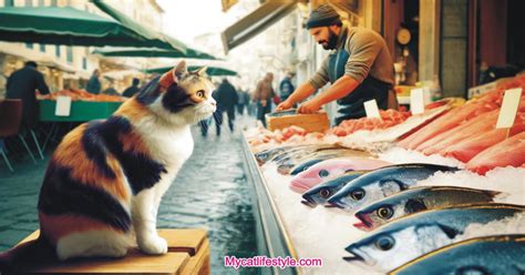 Why Cats Like Fish: A Deep Look at History & Science.